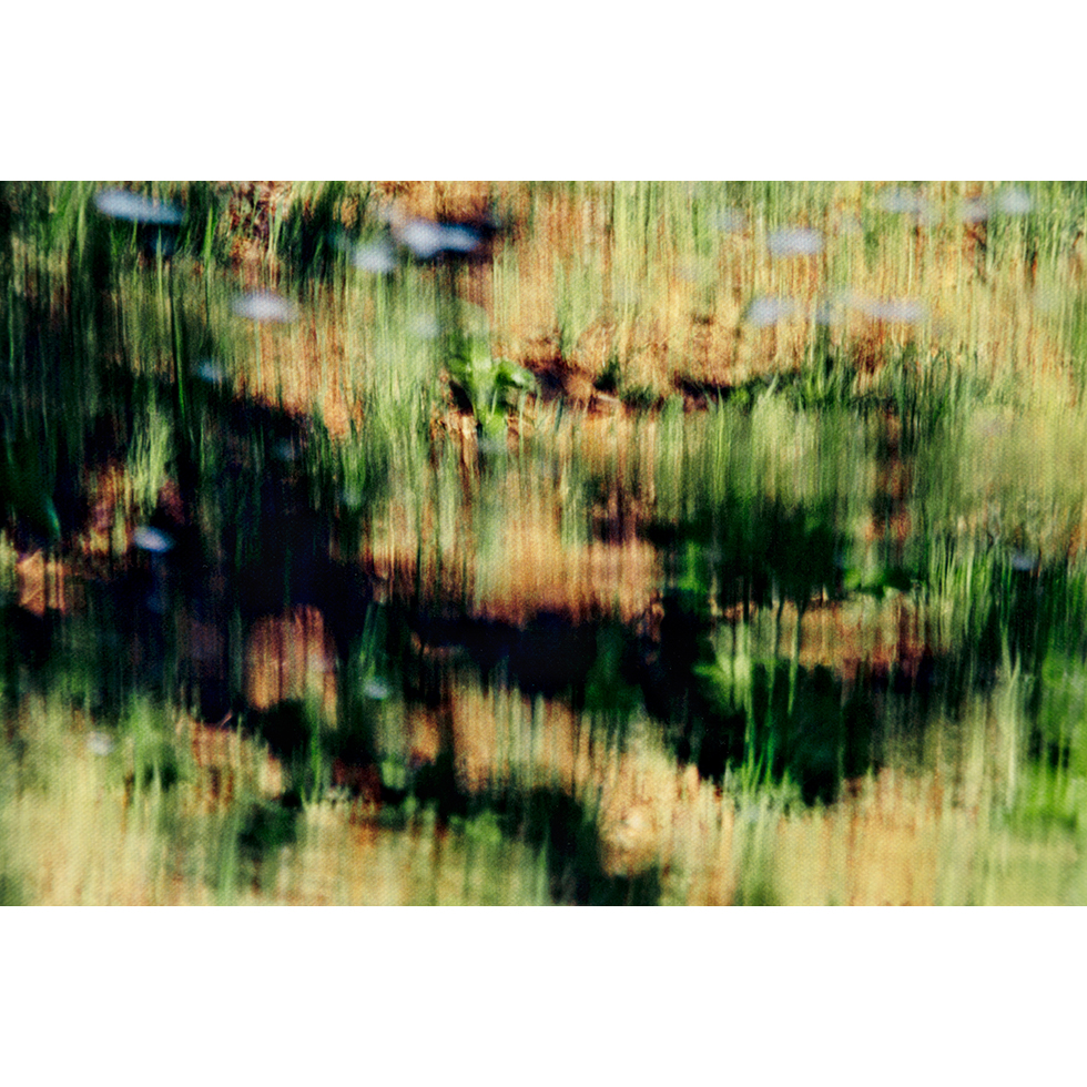 <a href="https://www.ueshima-collection.com/artist-list/146" style="color:inherit">鈴木理策</a> / <a href="https://www.ueshima-collection.com/artist-list/146" style="color:inherit">RISAKU SUZUKI</a>:SAKURA, 21, 4-570