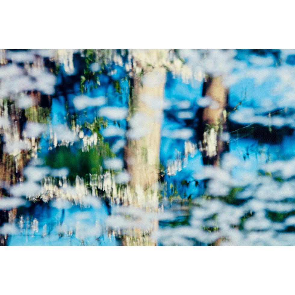 <a href="https://www.ueshima-collection.com/artist-list/146" style="color:inherit">鈴木理策</a> / <a href="https://www.ueshima-collection.com/artist-list/146" style="color:inherit">RISAKU SUZUKI</a>:SAKURA, 21, 4-570