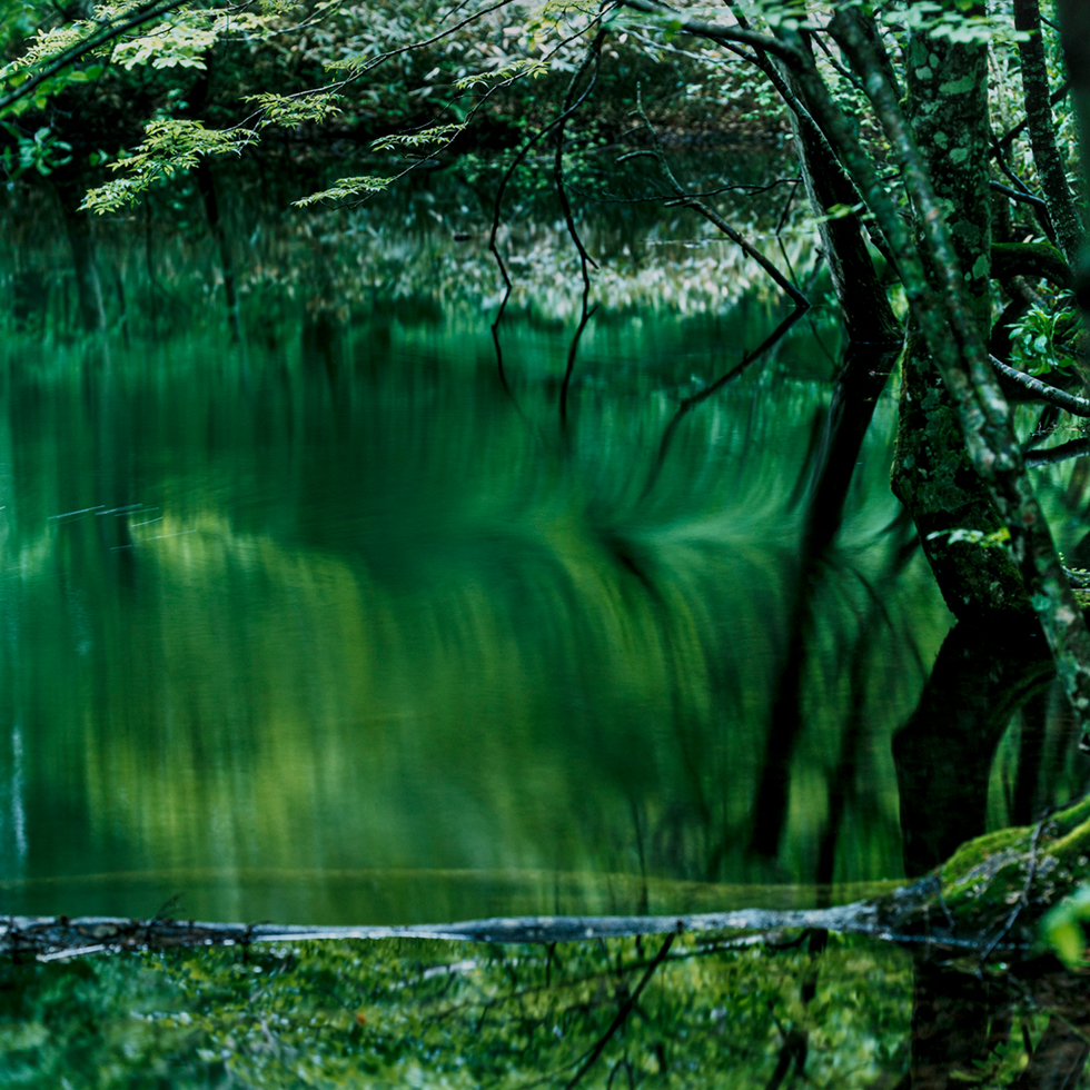 water mirror, 17, WM-741