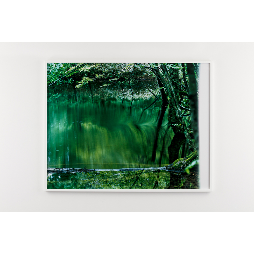<a href="https://www.ueshima-collection.com/artist-list/146" style="color:inherit">鈴木理策</a> / <a href="https://www.ueshima-collection.com/artist-list/146" style="color:inherit">RISAKU SUZUKI</a>:water mirror, 17, WM-741