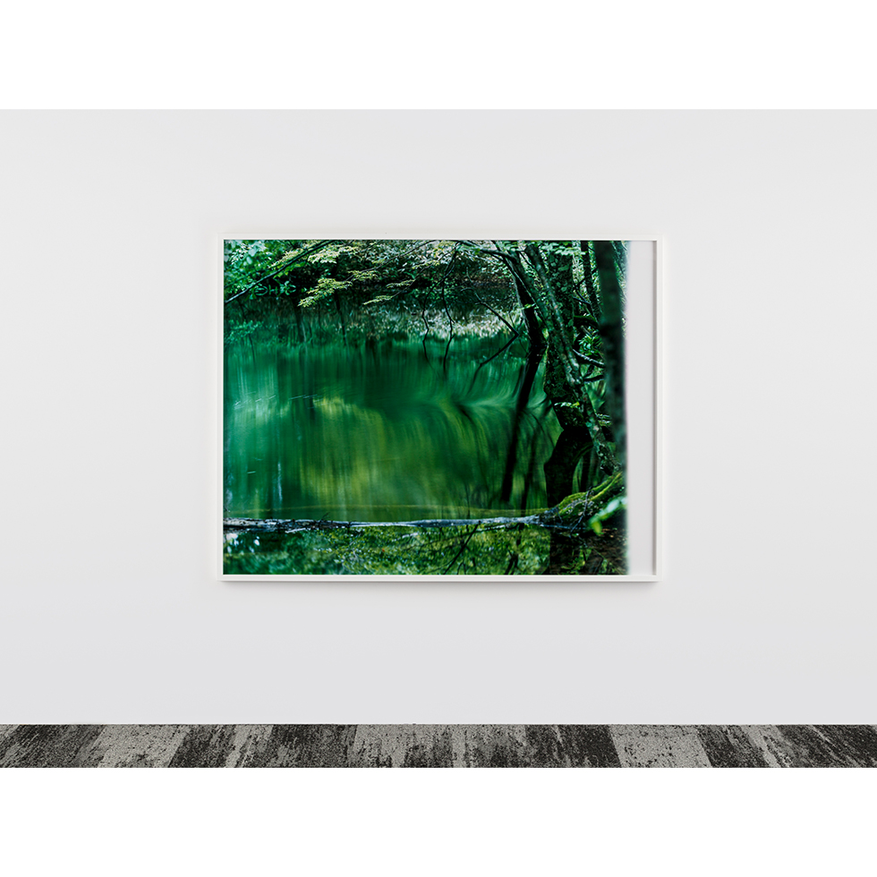 <a href="https://www.ueshima-collection.com/artist-list/146" style="color:inherit">鈴木理策</a> / <a href="https://www.ueshima-collection.com/artist-list/146" style="color:inherit">RISAKU SUZUKI</a>:water mirror, 17, WM-741