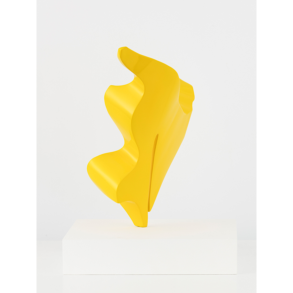 <a href="https://www.ueshima-collection.com/artist-list/58" style="color:inherit">藤崎了一</a> / <a href="https://www.ueshima-collection.com/artist-list/58" style="color:inherit">RYOICHI FUJISAKI</a>:Meltism C #22