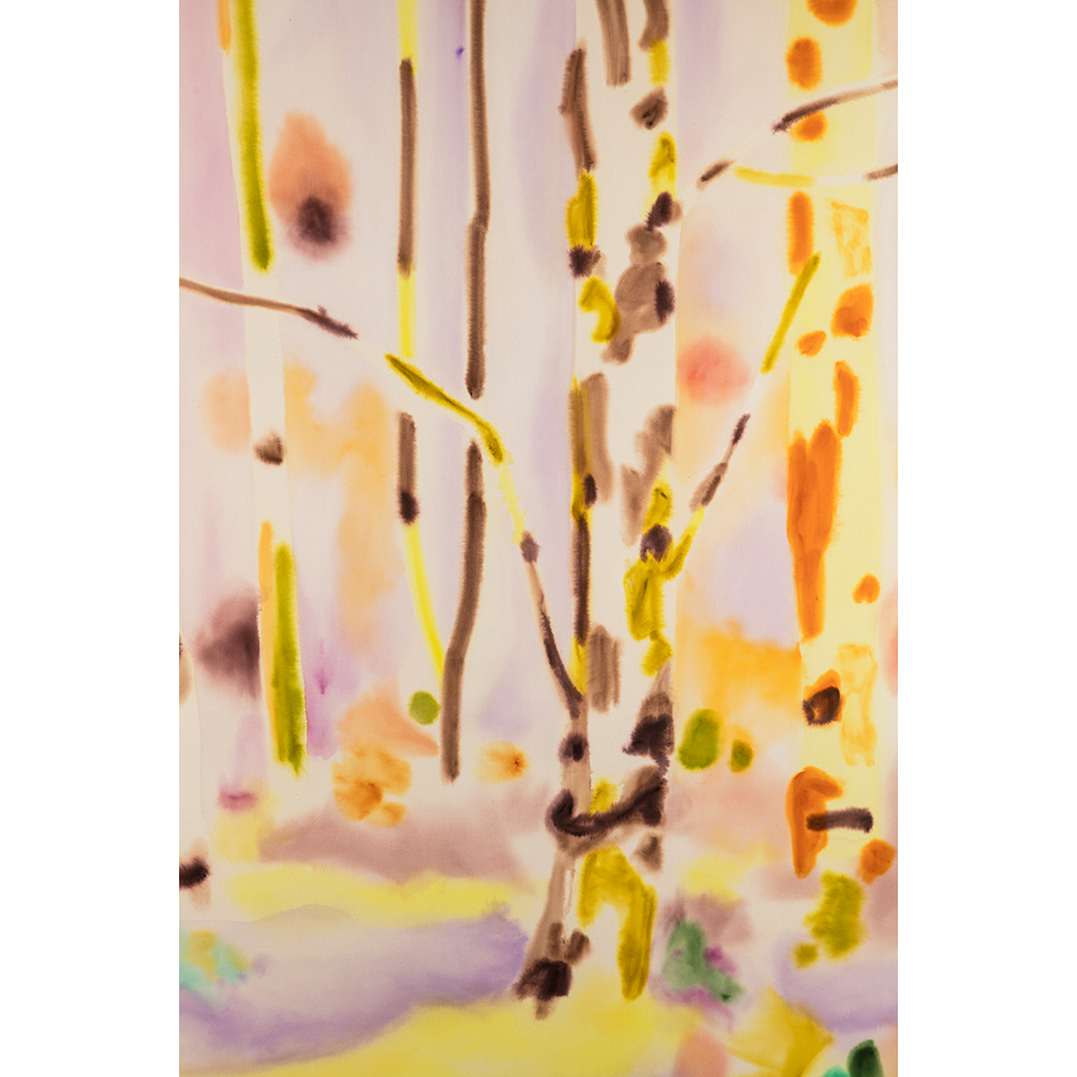 <a href="https://www.ueshima-collection.com/artist-list/107" style="color:inherit">丸山直文</a> / <a href="https://www.ueshima-collection.com/artist-list/107" style="color:inherit">NAOFUMI MARUYAMA</a>:puddle in the woods 5