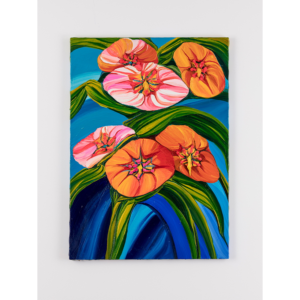 <a href="https://www.ueshima-collection.com/artist-list/68" style="color:inherit">近藤亜樹</a> / <a href="https://www.ueshima-collection.com/artist-list/68" style="color:inherit">AKI KONDO</a>:Summer Candies
