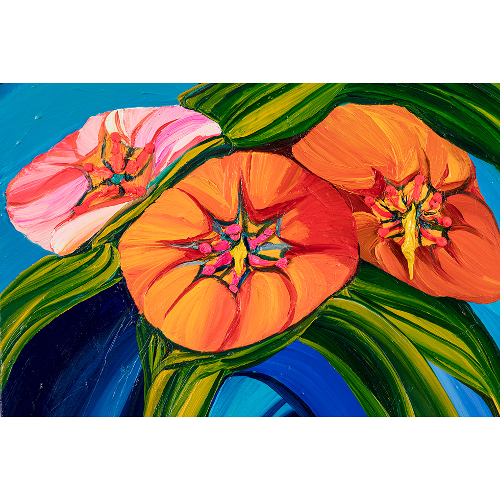<a href="https://www.ueshima-collection.com/artist-list/68" style="color:inherit">近藤亜樹</a> / <a href="https://www.ueshima-collection.com/artist-list/68" style="color:inherit">AKI KONDO</a>:Summer Candies
