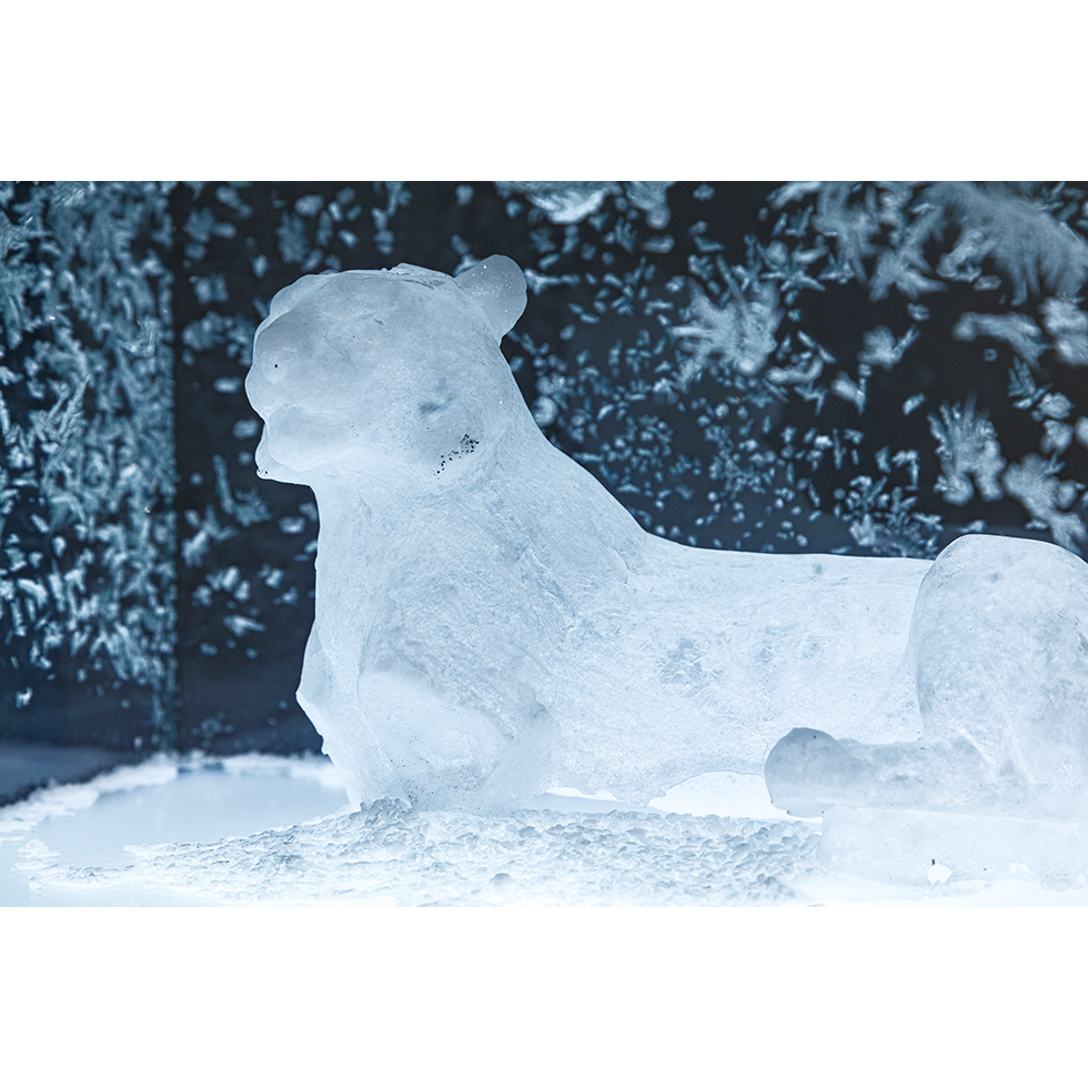 <a href="https://www.ueshima-collection.com/en/artist-list/76" style="color:inherit">AIKO MIYANAGA</a>:valley of sleeping sky -prone tiger-