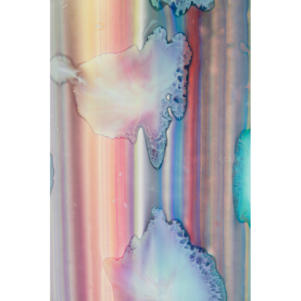 <a href="https://www.ueshima-collection.com/artist-list/9" style="color:inherit">BERNARD FRIZE</a>:Bitje
