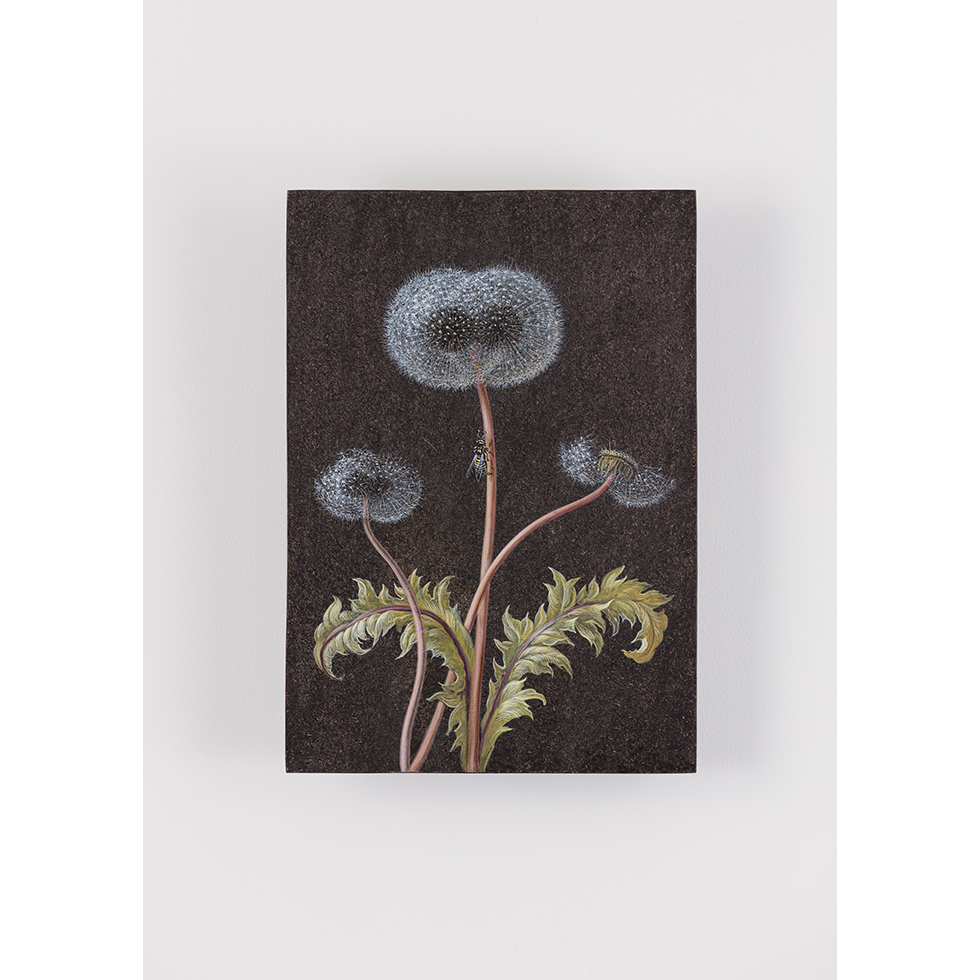 <a href="https://www.ueshima-collection.com/artist-list/136" style="color:inherit">LAURENT GRASSO</a>:Future Herbarium