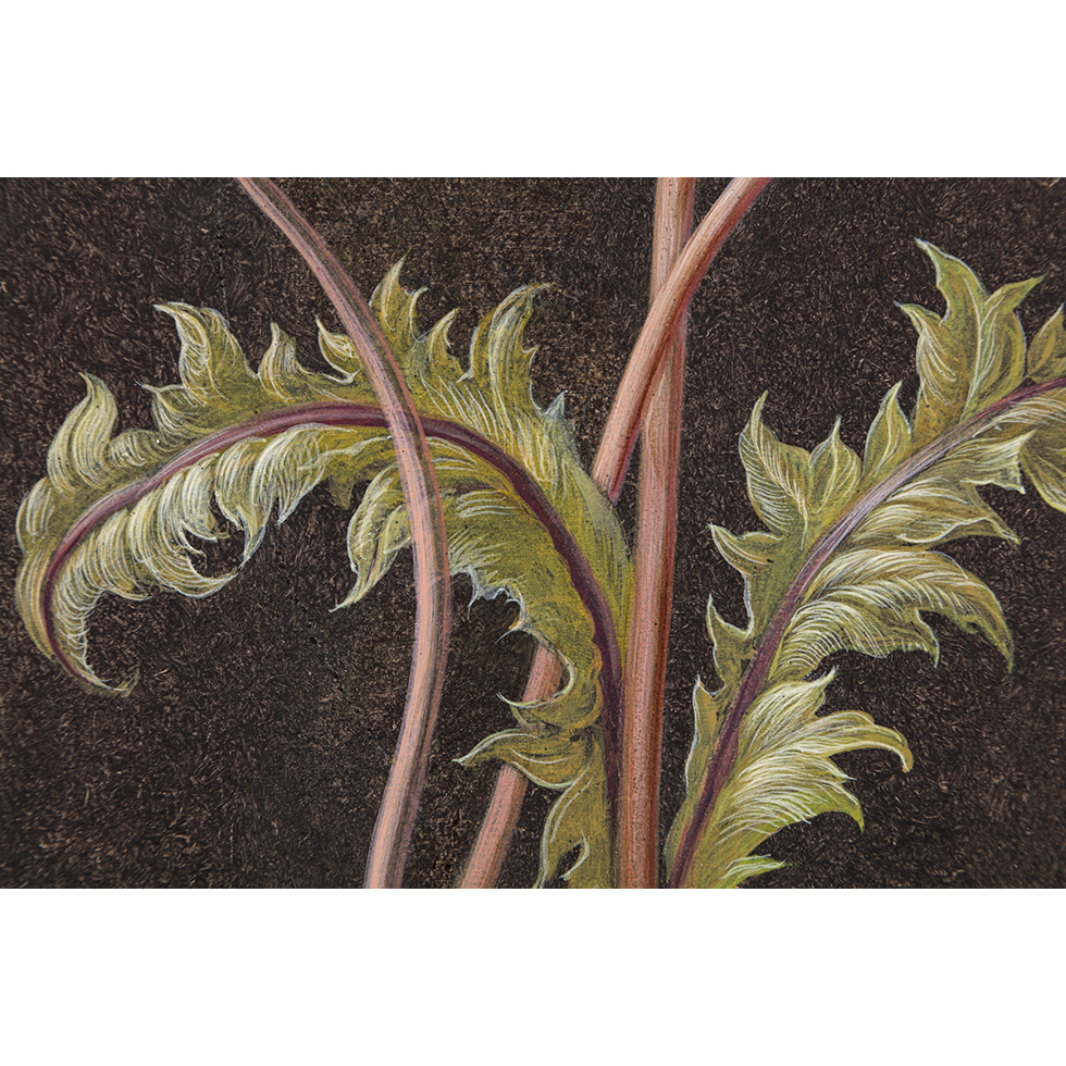 <a href="https://www.ueshima-collection.com/artist-list/136" style="color:inherit">LAURENT GRASSO</a>:Future Herbarium