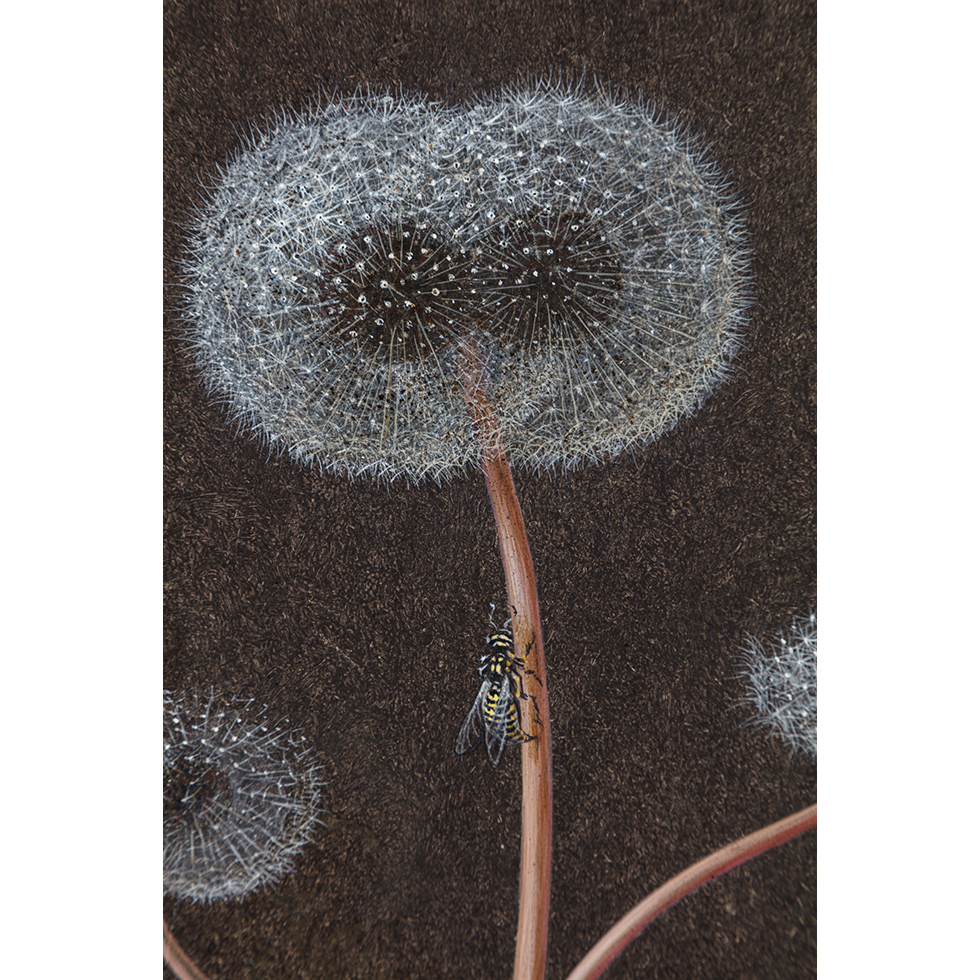 <a href="https://www.ueshima-collection.com/artist-list/136" style="color:inherit">LAURENT GRASSO</a>:Future Herbarium