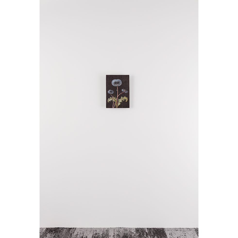 <a href="https://www.ueshima-collection.com/artist-list/136" style="color:inherit">LAURENT GRASSO</a>:Future Herbarium
