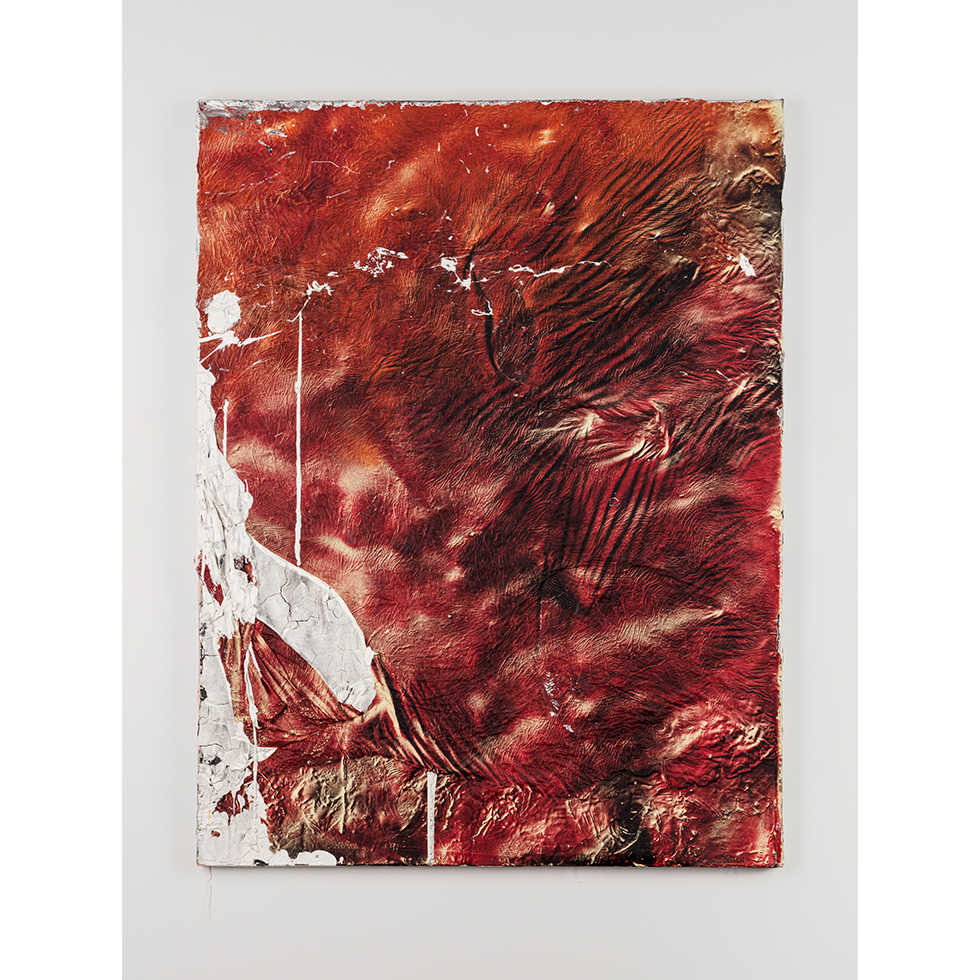 <a href="https://www.ueshima-collection.com/artist-list/160" style="color:inherit">RYAN SULLIVAN</a>:April 5. 2011