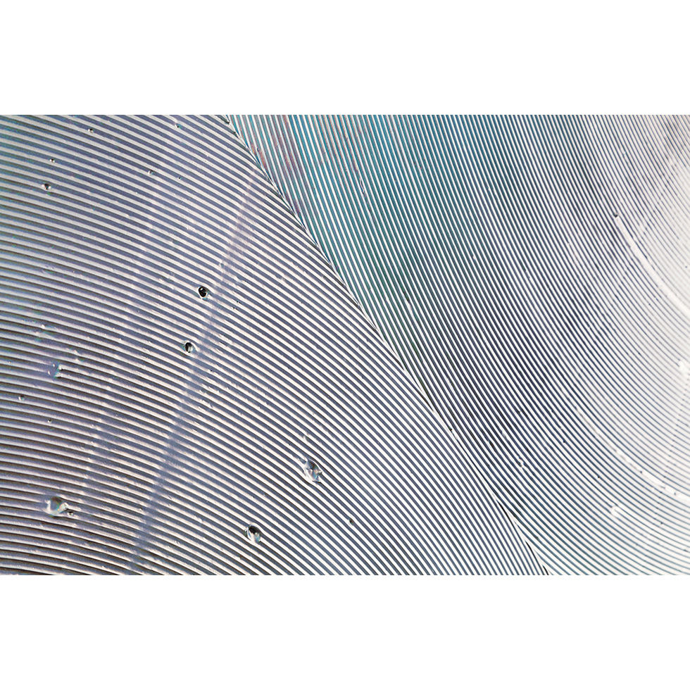 <a href="https://www.ueshima-collection.com/artist-list/70" style="color:inherit">大庭大介</a> / <a href="https://www.ueshima-collection.com/artist-list/70" style="color:inherit">DAISUKE OHBA</a>:M