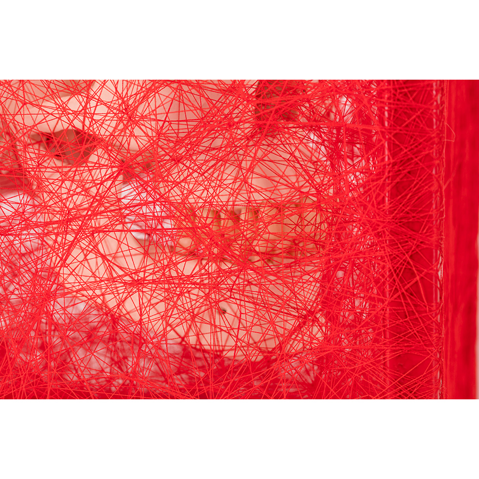 <a href="https://www.ueshima-collection.com/artist-list/90" style="color:inherit">塩田千春</a> / <a href="https://www.ueshima-collection.com/artist-list/90" style="color:inherit">CHIHARU SHIOTA</a>:存在様態 (髑髏) / State of Being (Skull)