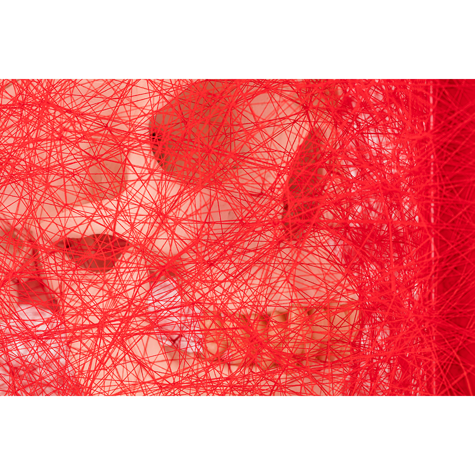 <a href="https://www.ueshima-collection.com/artist-list/90" style="color:inherit">塩田千春</a> / <a href="https://www.ueshima-collection.com/artist-list/90" style="color:inherit">CHIHARU SHIOTA</a>:存在様態 (髑髏) / State of Being (Skull)