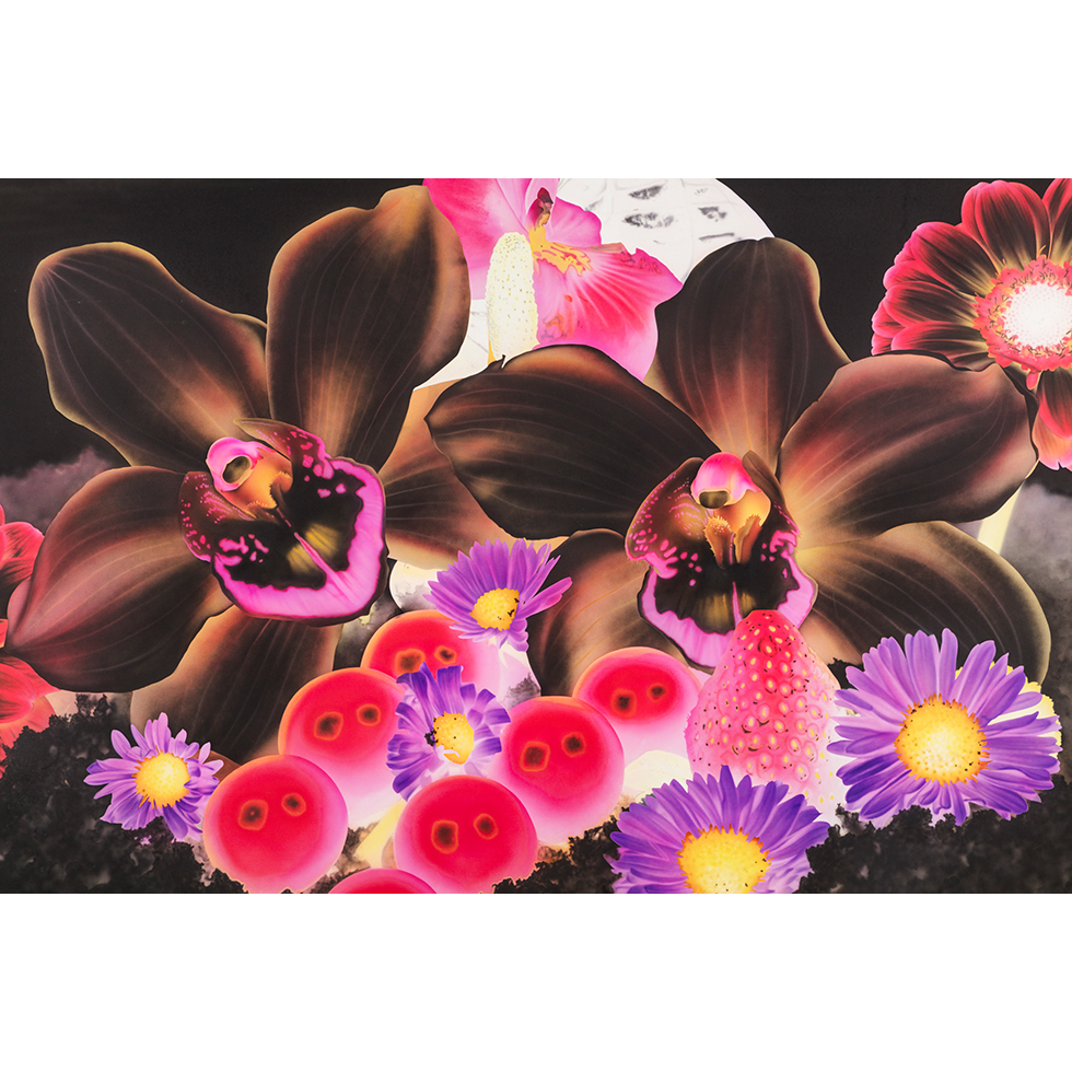 <a href="https://www.ueshima-collection.com/cn/artist-list/92" style="color:inherit">馬克·奎安</a> / <a href="https://www.ueshima-collection.com/cn/artist-list/92" style="color:inherit">MARC QUINN</a>:木星的衛星
