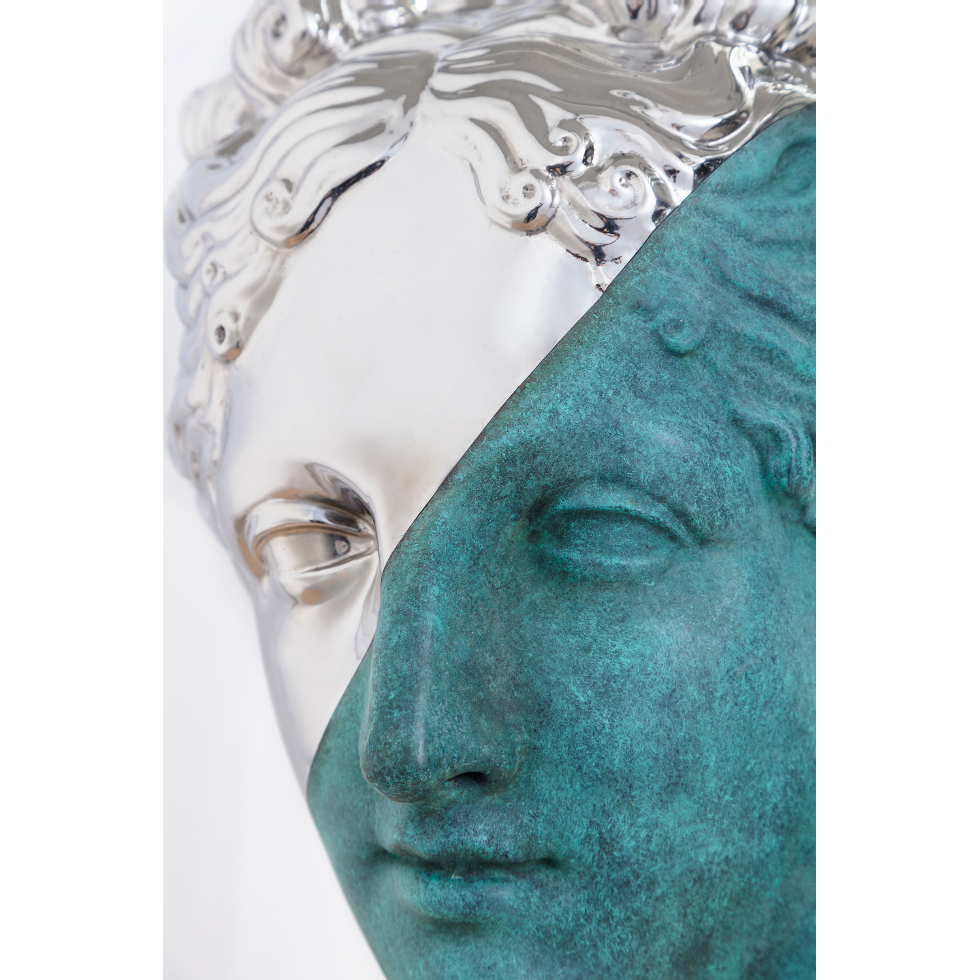 <a href="https://www.ueshima-collection.com/artist-list/7" style="color:inherit">DANIEL ARSHAM</a>:Bronze Stainless Steel Venus Italica Bust