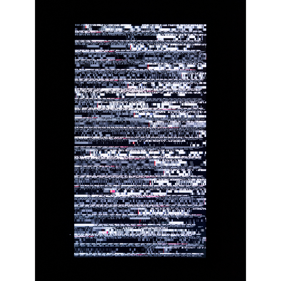 <a href="https://www.ueshima-collection.com/artist-list/115" style="color:inherit">池田亮司</a> / <a href="https://www.ueshima-collection.com/artist-list/115" style="color:inherit">RYOJI IKEDA</a>:data.scan [n°1b-9b]