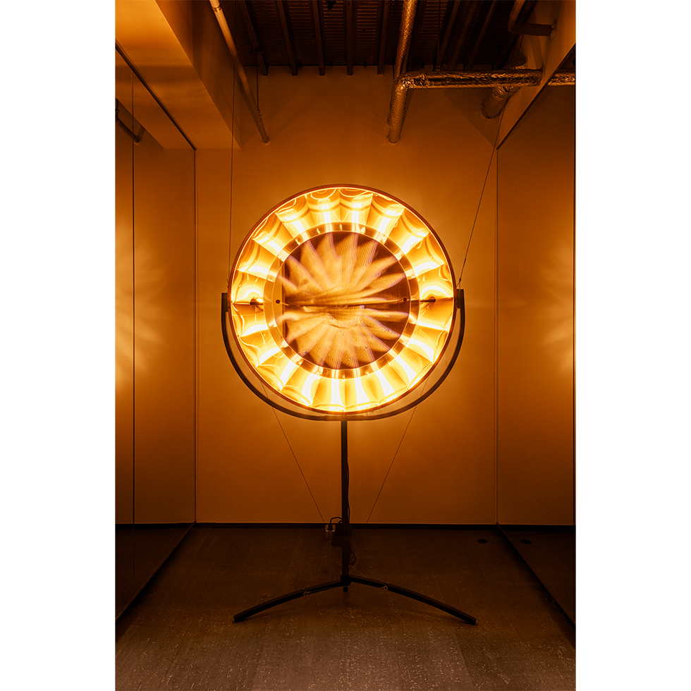 <a href="https://www.ueshima-collection.com/artist-list/11" style="color:inherit">OLAFUR ELIASSON</a>:Eye see you