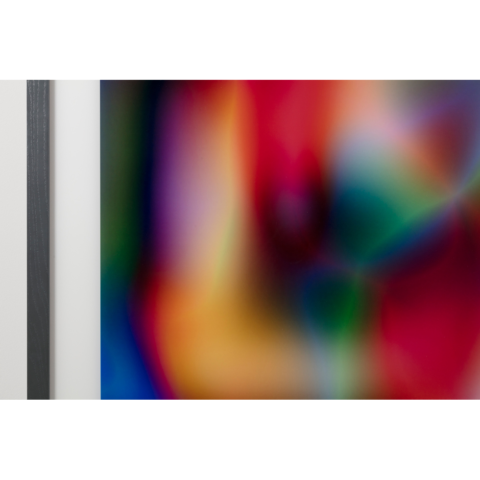 <a href="https://www.ueshima-collection.com/artist-list/12" style="color:inherit">THOMAS RUFF</a>:Substrat 7 III