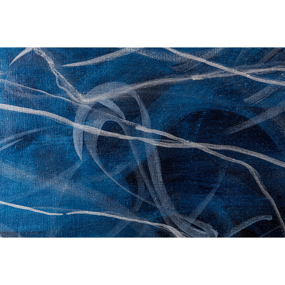 <a href="https://www.ueshima-collection.com/artist-list/141" style="color:inherit">福井祐介</a> / <a href="https://www.ueshima-collection.com/artist-list/141" style="color:inherit">YUSUKE FUKUI</a>:TESLA - IKAZUCHI
