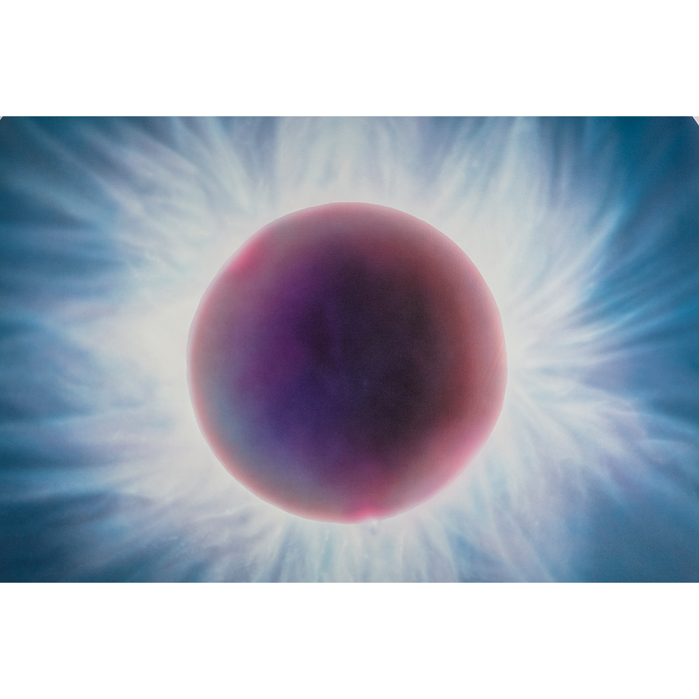 <a href="https://www.ueshima-collection.com/artist-list/92" style="color:inherit">MARC QUINN</a>:Solar Eclipse Northern Hemisphere August 11th 1999