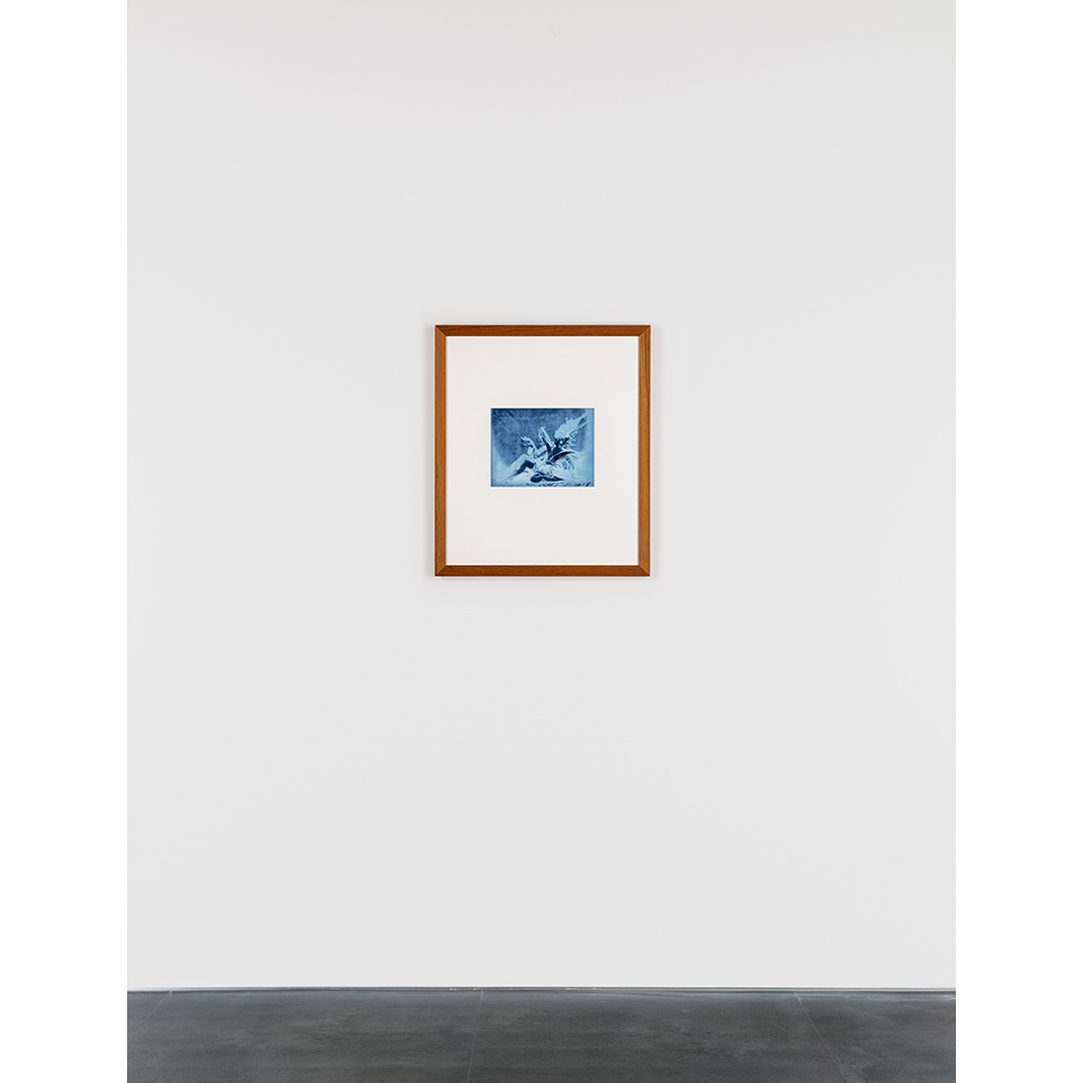 <a href="https://www.ueshima-collection.com/artist-list/12" style="color:inherit">THOMAS RUFF</a>:neg◊bal_01