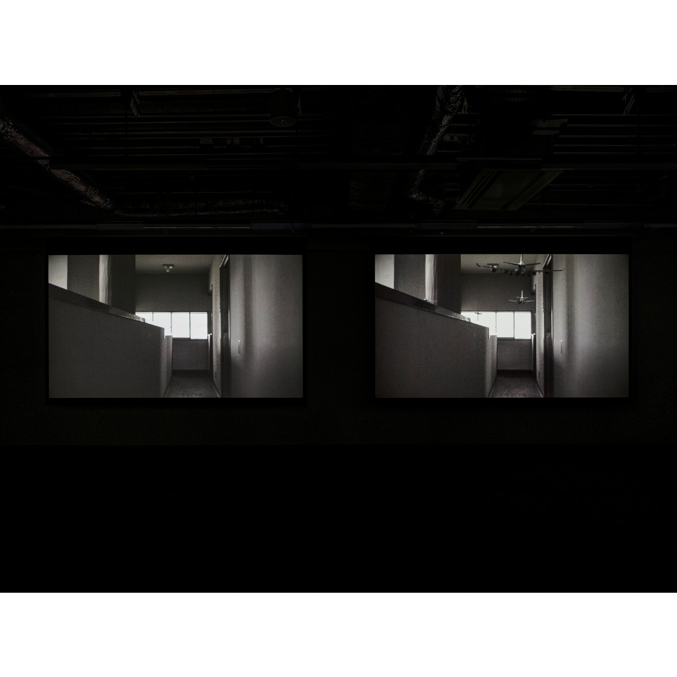 <a href="https://www.ueshima-collection.com/en/artist-list/239" style="color:inherit">HIRAKI SAWA</a>:/home, /home (absence)