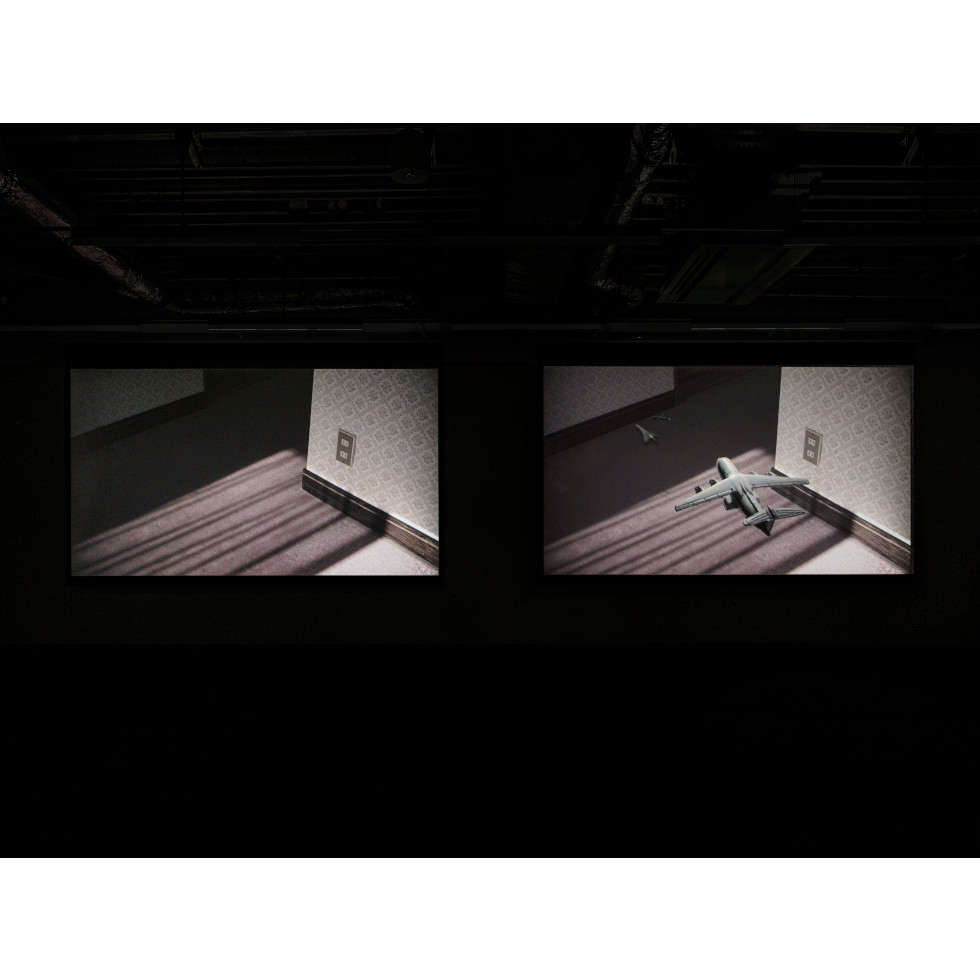<a href="https://www.ueshima-collection.com/en/artist-list/239" style="color:inherit">HIRAKI SAWA</a>:/home, /home (absence)