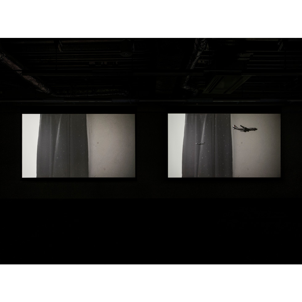 <a href="https://www.ueshima-collection.com/en/artist-list/239" style="color:inherit">HIRAKI SAWA</a>:/home, /home (absence)