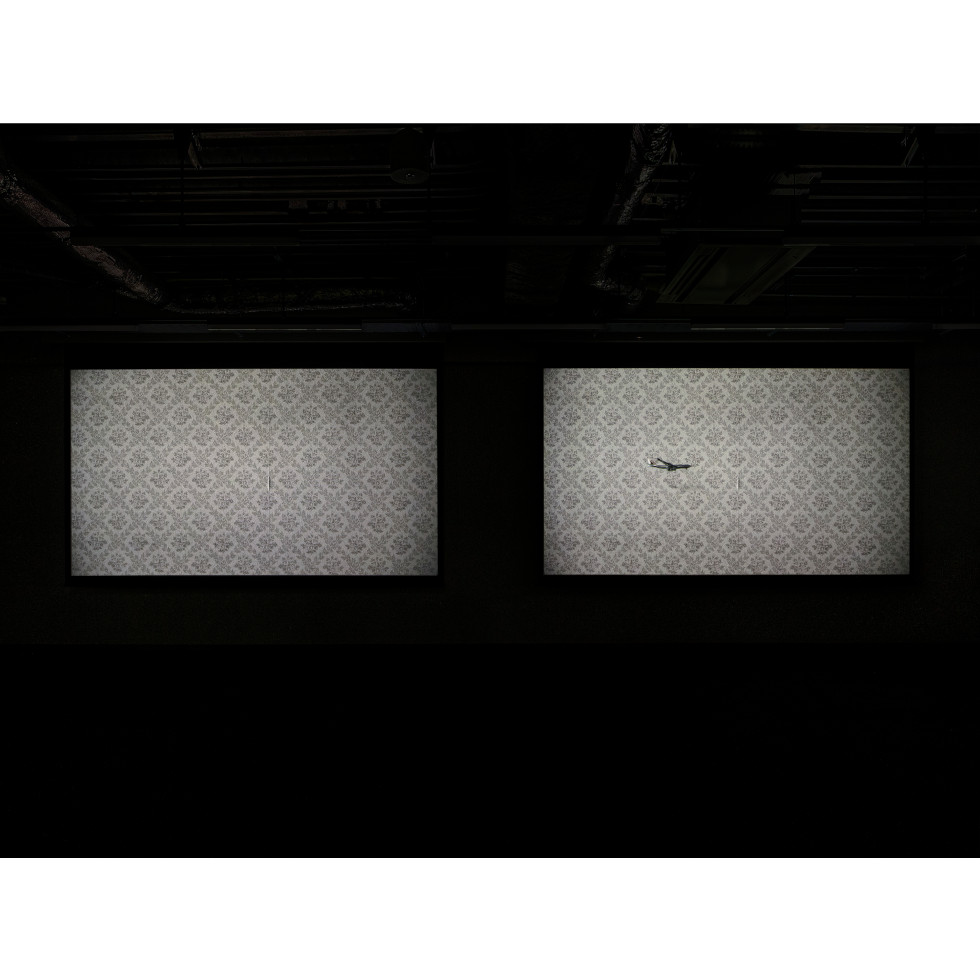 <a href="https://www.ueshima-collection.com/en/artist-list/239" style="color:inherit">HIRAKI SAWA</a>:/home, /home (absence)