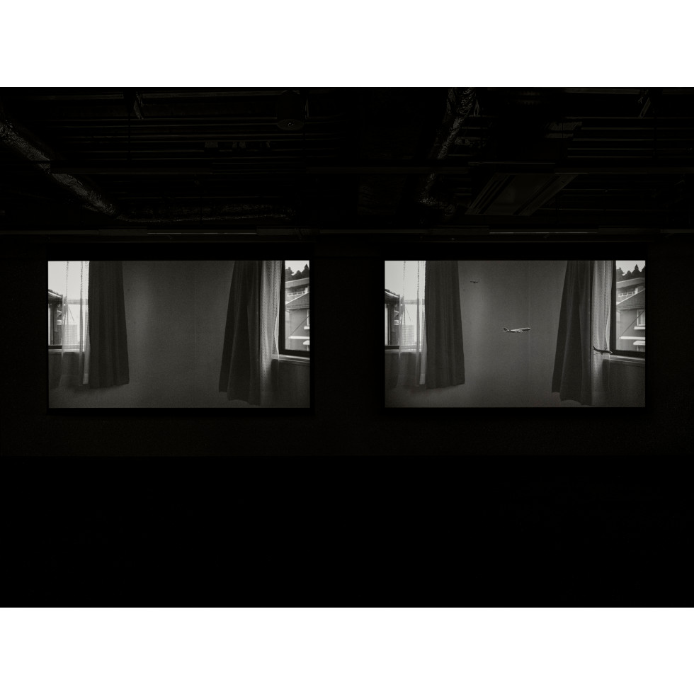 <a href="https://www.ueshima-collection.com/en/artist-list/239" style="color:inherit">HIRAKI SAWA</a>:/home, /home (absence)