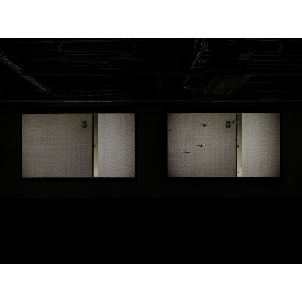 <a href="https://www.ueshima-collection.com/en/artist-list/239" style="color:inherit">HIRAKI SAWA</a>:/home, /home (absence)