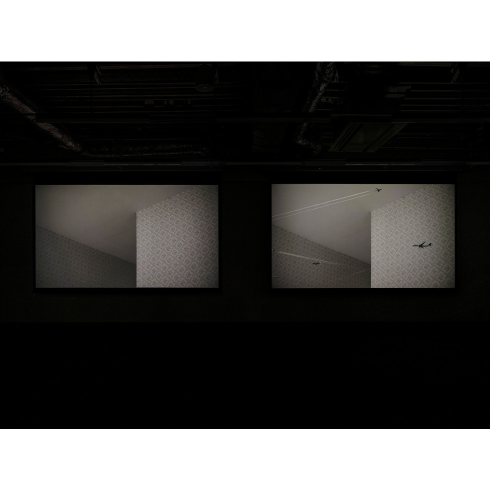 <a href="https://www.ueshima-collection.com/en/artist-list/239" style="color:inherit">HIRAKI SAWA</a>:/home, /home (absence)