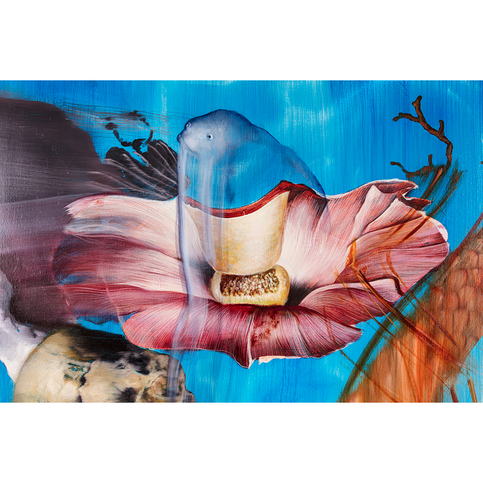 <a href="https://www.ueshima-collection.com/artist-list/98" style="color:inherit">今津景</a> / <a href="https://www.ueshima-collection.com/artist-list/98" style="color:inherit">KEI IMAZU</a>:Drowsiness