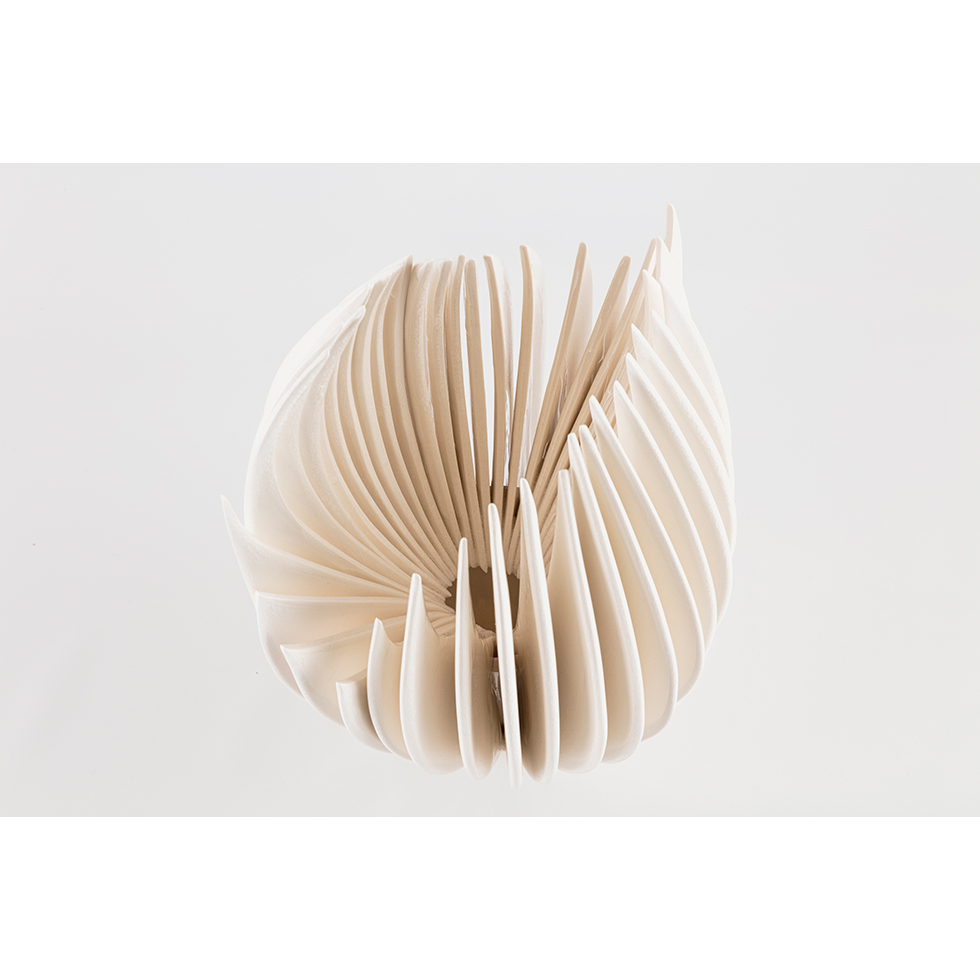 <a href="https://www.ueshima-collection.com/en/artist-list/254" style="color:inherit">YUKI NARA</a>:Bone Flower