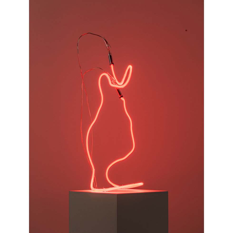 <a href="https://www.ueshima-collection.com/artist-list/238" style="color:inherit">川内理香子</a> / <a href="https://www.ueshima-collection.com/artist-list/238" style="color:inherit">RIKAKO KAWAUCHI</a>:grow
