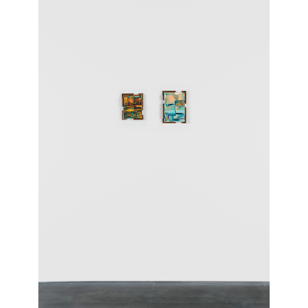 <a href="https://www.ueshima-collection.com/artist-list/157" style="color:inherit">岡﨑乾二郎</a> / <a href="https://www.ueshima-collection.com/artist-list/157" style="color:inherit">KENJIRO OKAZAKI</a>:月花 (Ipomoea alba) / No idea why I was going there / あるいは空中の椰子果 あお空の奥か (le bleu du ciel) / Seen with an ideal, Out the window / きたいの中に溶ける魚