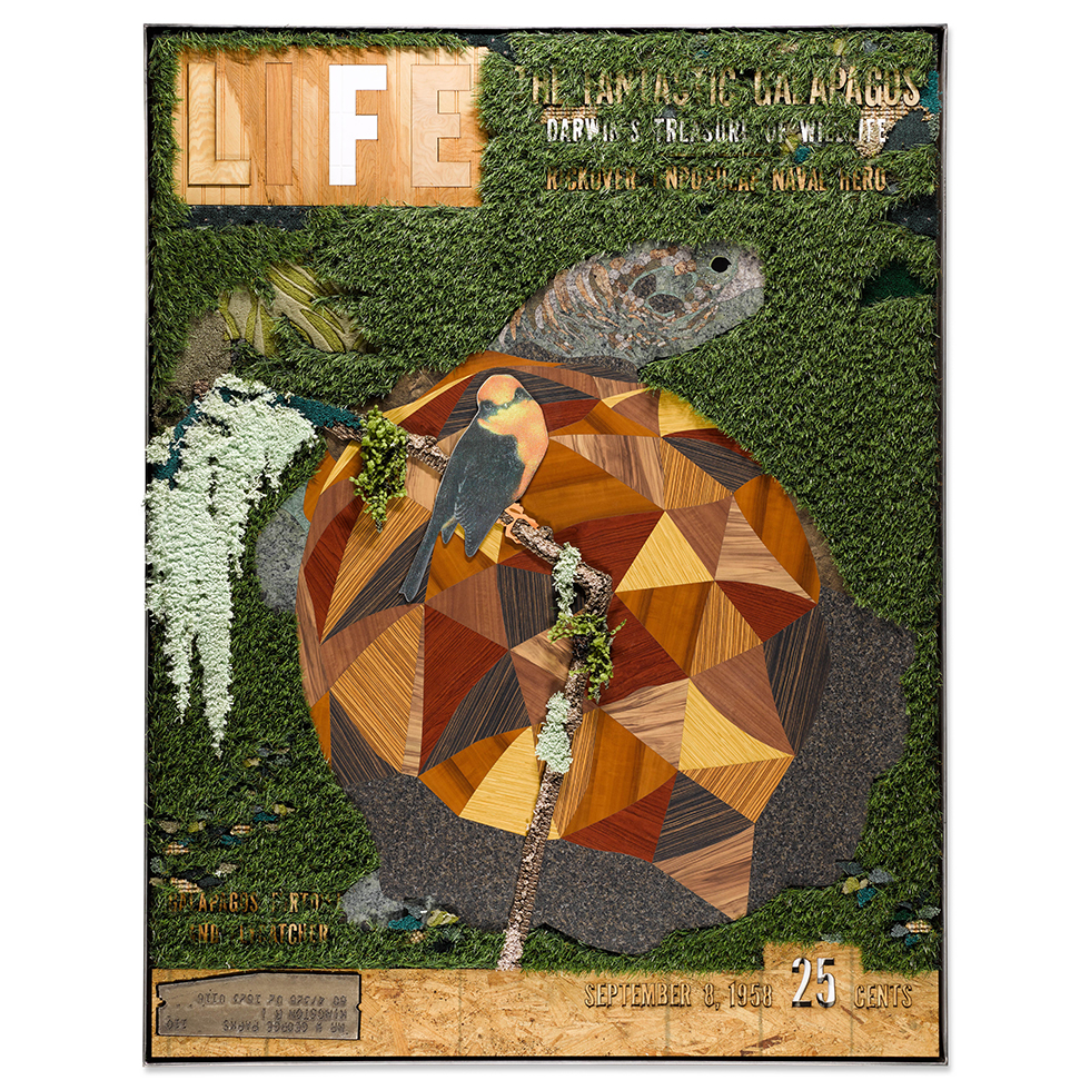 <a href="https://www.ueshima-collection.com/artist-list/126" style="color:inherit">MATTHEW DAY JACKSON</a>:September 8,1958