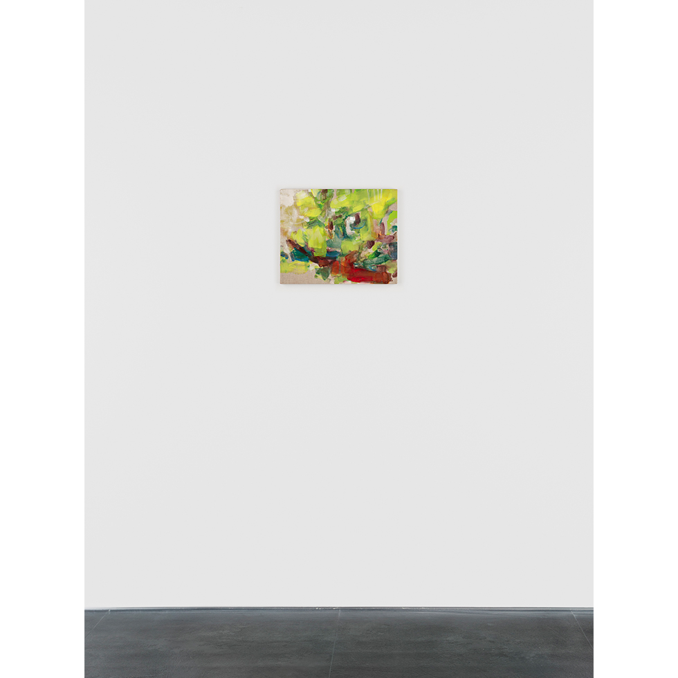 <a href="https://www.ueshima-collection.com/artist-list/248" style="color:inherit">津上みゆき</a> / <a href="https://www.ueshima-collection.com/artist-list/248" style="color:inherit">MIYUKI TSUGAMI</a>:View, a cherry tree, rain, wind, 7 July 2019