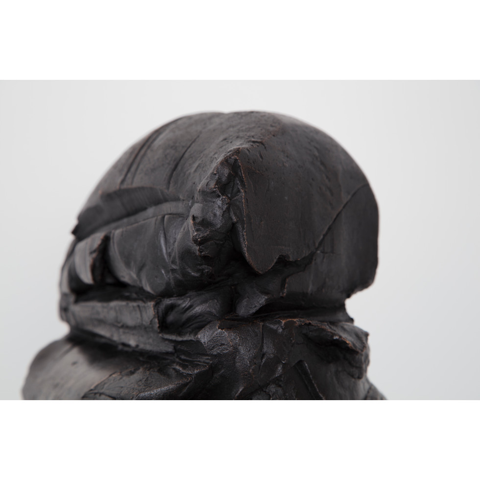 <a href="https://www.ueshima-collection.com/artist-list/157" style="color:inherit">岡﨑乾二郎</a> / <a href="https://www.ueshima-collection.com/artist-list/157" style="color:inherit">KENJIRO OKAZAKI</a>:wšnt Im'š'Im bbty šnt km h kkb m 'I