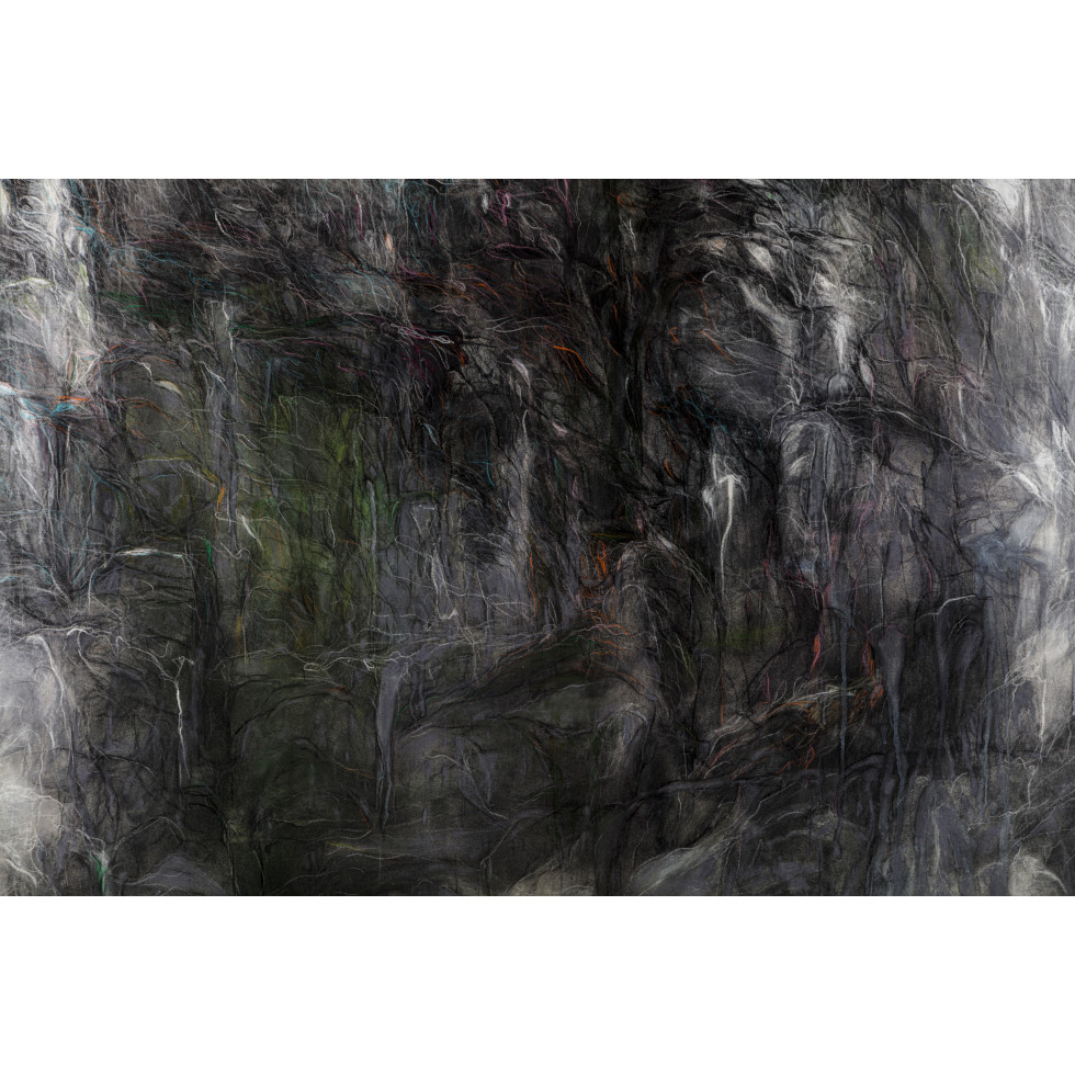 <a href="https://www.ueshima-collection.com/artist-list/44" style="color:inherit">松本陽子</a> / <a href="https://www.ueshima-collection.com/artist-list/44" style="color:inherit">YOKO MATSUMOTO</a>:生命体について