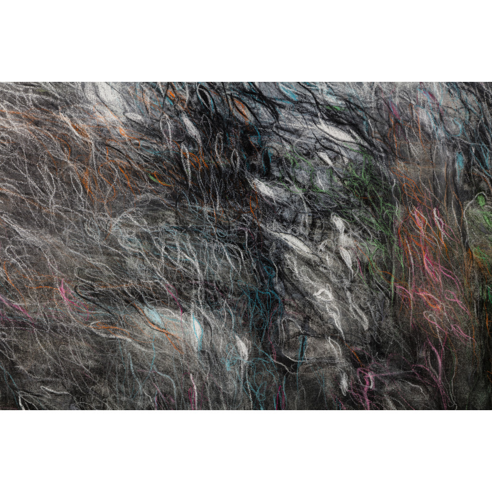 <a href="https://www.ueshima-collection.com/artist-list/44" style="color:inherit">松本陽子</a> / <a href="https://www.ueshima-collection.com/artist-list/44" style="color:inherit">YOKO MATSUMOTO</a>:生命体について