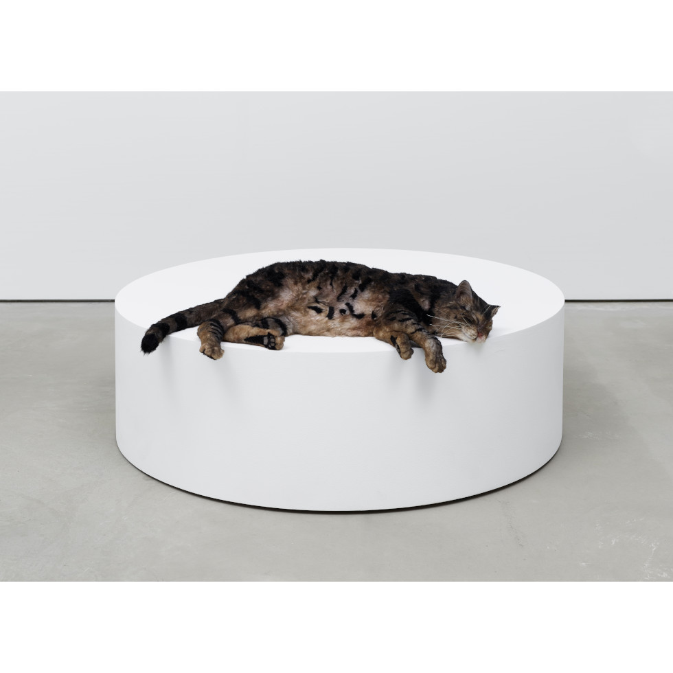 <a href="https://www.ueshima-collection.com/en/artist-list/113" style="color:inherit">RYAN GANDER</a>:Sowing confusion amongst the titles, or The squatters (Tiger meet Hiller’s Lucidity & Intuition: Homage to Gertrude Stein (2011))