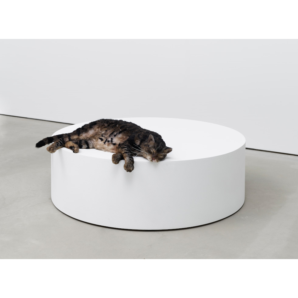 <a href="https://www.ueshima-collection.com/en/artist-list/113" style="color:inherit">RYAN GANDER</a>:Sowing confusion amongst the titles, or The squatters (Tiger meet Hiller’s Lucidity & Intuition: Homage to Gertrude Stein (2011))