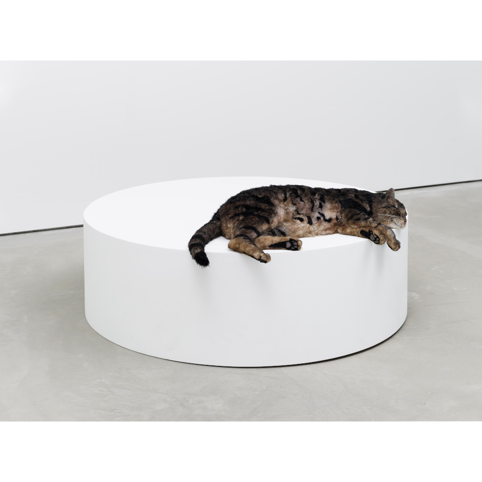 <a href="https://www.ueshima-collection.com/en/artist-list/113" style="color:inherit">RYAN GANDER</a>:Sowing confusion amongst the titles, or The squatters (Tiger meet Hiller’s Lucidity & Intuition: Homage to Gertrude Stein (2011))