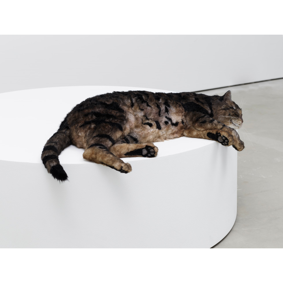 <a href="https://www.ueshima-collection.com/en/artist-list/113" style="color:inherit">RYAN GANDER</a>:Sowing confusion amongst the titles, or The squatters (Tiger meet Hiller’s Lucidity & Intuition: Homage to Gertrude Stein (2011))