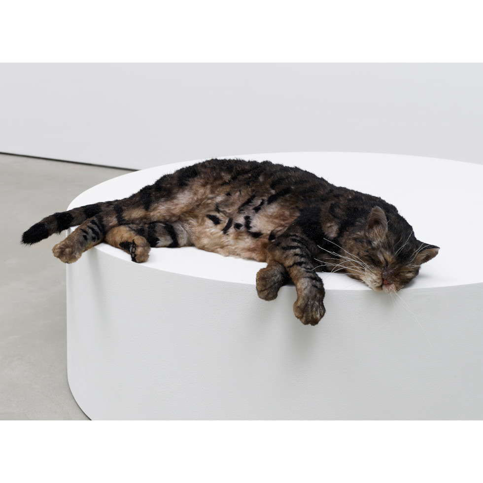 <a href="https://www.ueshima-collection.com/en/artist-list/113" style="color:inherit">RYAN GANDER</a>:Sowing confusion amongst the titles, or The squatters (Tiger meet Hiller’s Lucidity & Intuition: Homage to Gertrude Stein (2011))