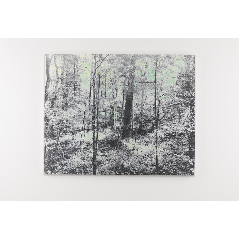 <a href="https://www.ueshima-collection.com/artist-list/62" style="color:inherit">能條雅由</a> / <a href="https://www.ueshima-collection.com/artist-list/62" style="color:inherit">MASAYOSHI NOJO</a>:Mirage #77