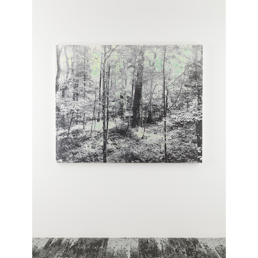 <a href="https://www.ueshima-collection.com/artist-list/62" style="color:inherit">能條雅由</a> / <a href="https://www.ueshima-collection.com/artist-list/62" style="color:inherit">MASAYOSHI NOJO</a>:Mirage #77